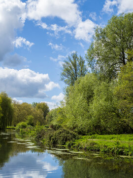 River Itchen, Winchester, Hampshire, England, UK.
