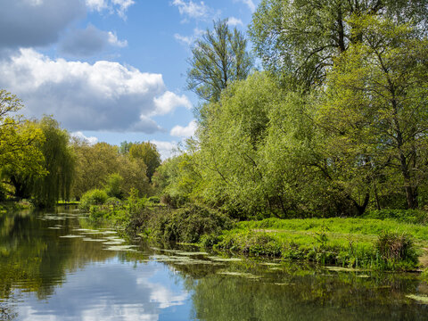 River Itchen, Winchester, Hampshire, England, UK.