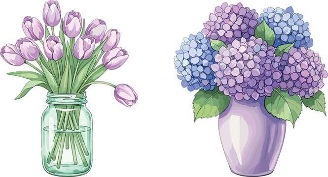 Beautiful Watercolor Tulip And Hydrangea Flower Bouquet In Glass Jar And Vase Collection Isolated On White Background Vector Illustration