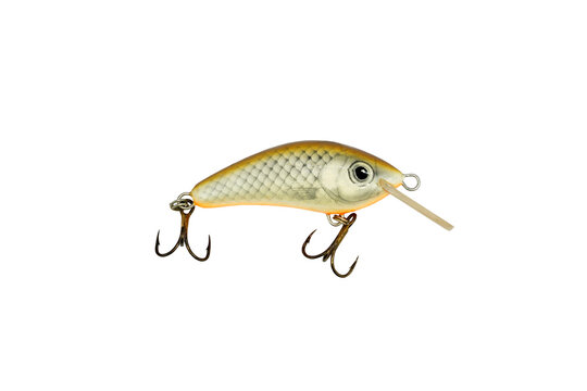 Carp Fishing Lure Isolated on White Background &ndash; Artificial Bait for Freshwater Angling, Coarse Fishing and Sport Fishing Tackle
