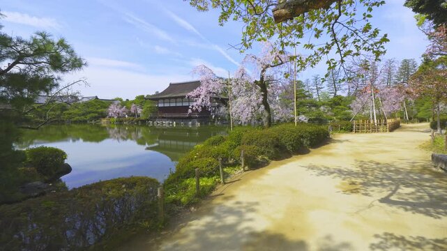 京都　平安神宮　春の神苑を泰平閣と尚美館を望みながら歩く