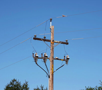 Electricity pylon with pigeons under blue sky