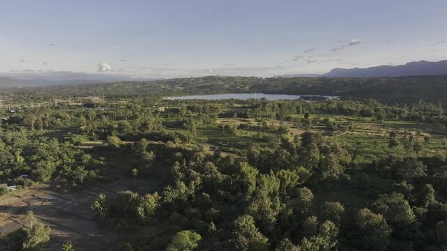 Aerial view of traditional rice harvesting in the fertile plains of Salavan, Laos.