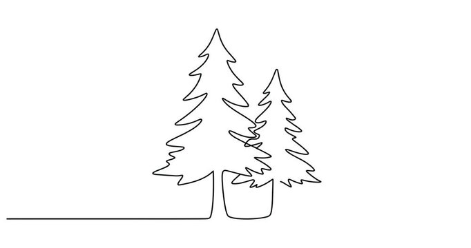 Continuous Line Drawing Animation of Evergreen Pine Trees.