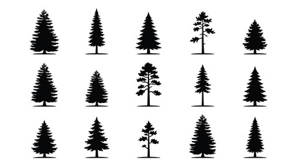 Fototapeta premium Set of coniferous tree silhouettes, collection of various pine, spruce and fir trees, vector illustration