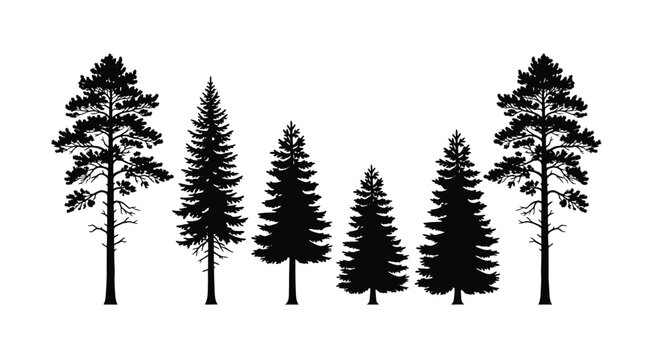 Set of coniferous tree silhouettes collection of pine and spruce trees for landscape design, forest elements, and naturethemed graphic projects