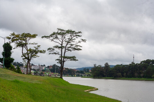 Ho Xuan Huong Lake on a cloudy morning, with ancient pine trees casting their reflections on the lake's surface.
