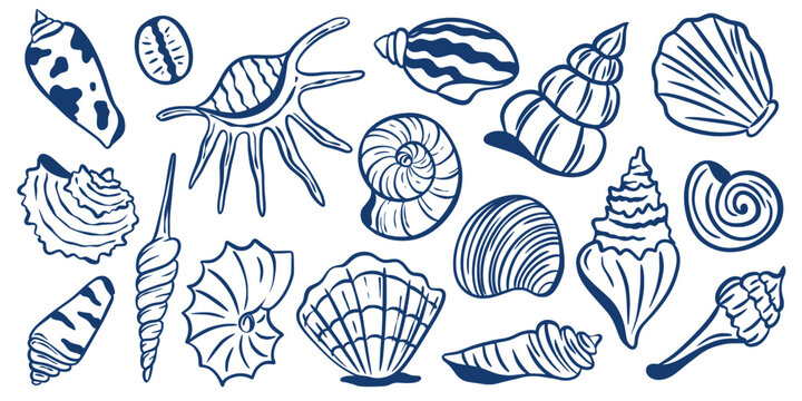 Hand drawn set of shells and mollusks in Mediterranean style. Underwater ocean inhabitants, navy blue doodle clip art. Vector elements