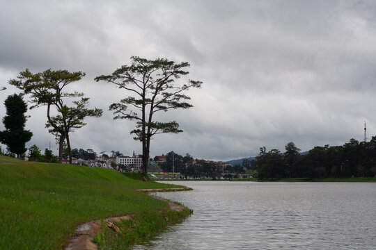 Ho Xuan Huong Lake on a cloudy morning, with ancient pine trees casting their reflections on the lake's surface.