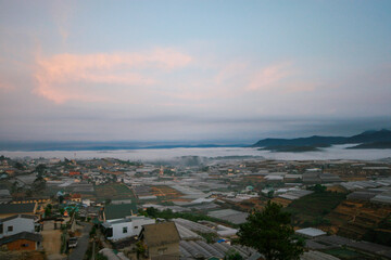 Fototapeta premium One beautiful morning, before sunrise, in Thai Phien village, a traditional flower village in Da Lat - Lam Dong, a corner of Thai Phien with greenhouses shrouded in early morning mist, a morning in th