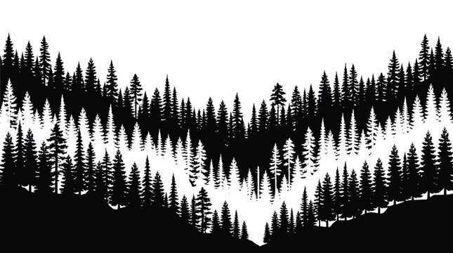 Seamless horizontal border of pine forest silhouette, coniferous trees landscape, black and white vector illustration