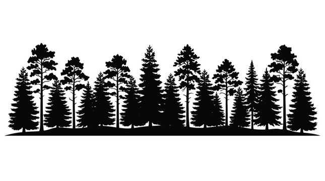 Forest silhouette, seamless border of pine and spruce trees, black coniferous woodland landscape