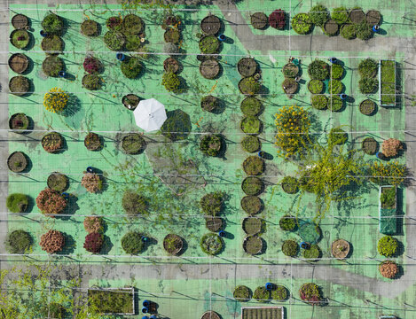 Aerial view of a rooftop garden featuring circular planters, green flooring, and a white umbrella in Taiwan.