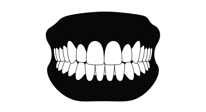 A black and white illustration of a set of human teeth and gums