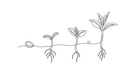 One line drawing of plant growth stages from seed to sprout with line art © Line Lab