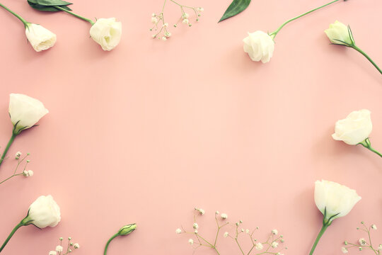 Top view image of white flowers on pink pastel background