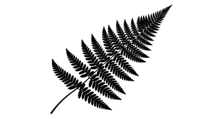 A striking black and white silhouette of a single fern frond © Design lens