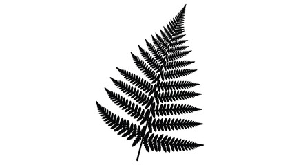 A single detailed black silhouette of a fern frond against white © Design lens