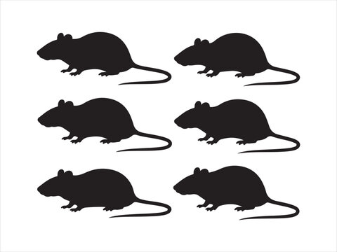 Set of rats black silhouettes, Rat silhouettes collection set animal pest minimal vector illustration