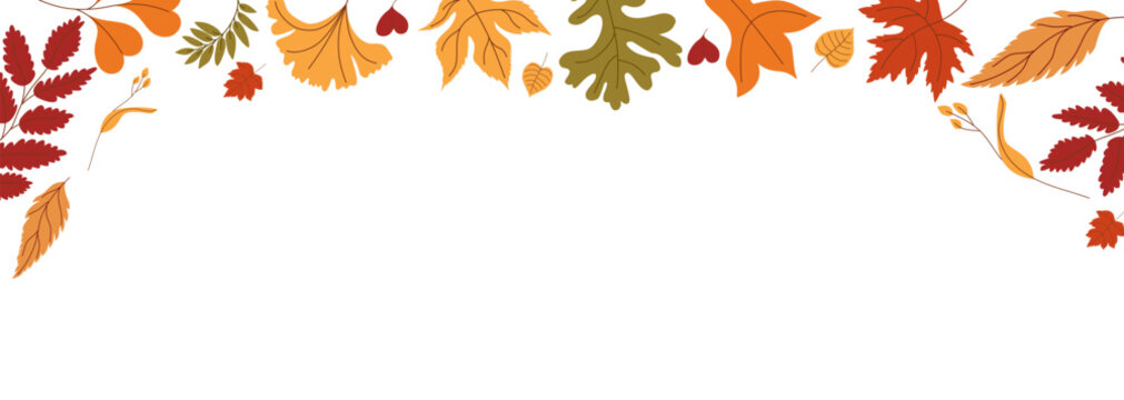 Autumn foliage header border with colorful leaves at the top. Vector illustration.