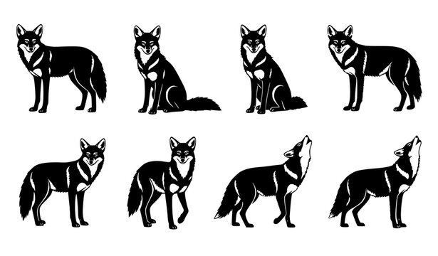 Coyote silhouette vector set with standing sitting and howling wild animal poses isolated on white