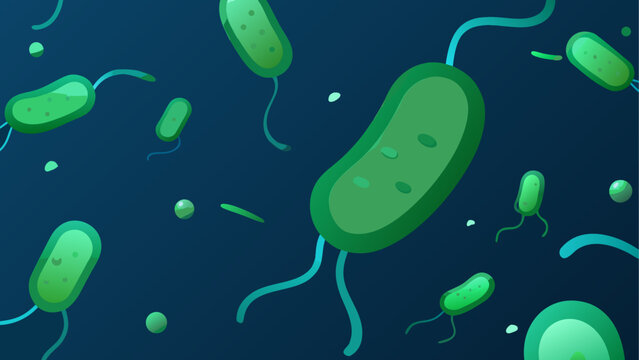 Microscopic view of elongated bacterial cells under fluorescent light