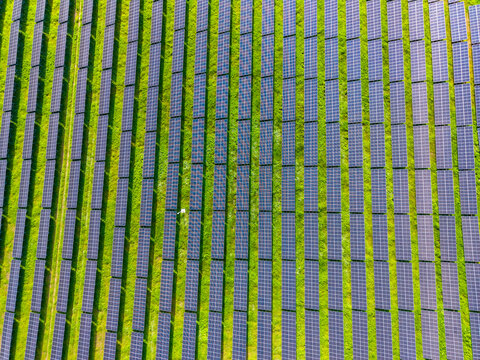 Solar panels cover a large field in a sunny location, showing rows of green grass and blue solar cells during the day