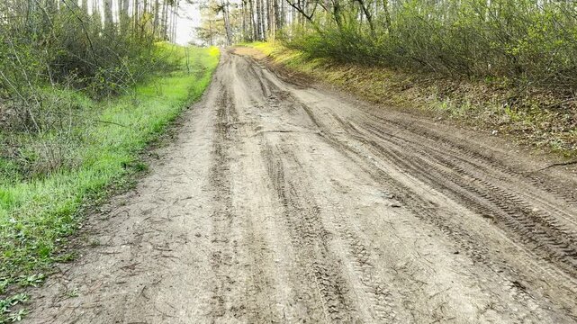 A rugged dirt path climbs through a vibrant green woodland. This adventurous scene feels lonely yet inviting, sparking a sense of curiosity. The fresh spring colors create a peaceful atmosphere.