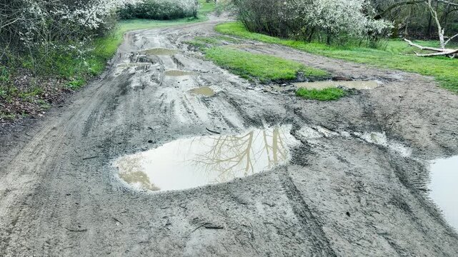 Deep water puddles cover a muddy dirt path lined with spring blossoms. This damp scene creates a lonely, gloomy feeling while reflecting the quiet beauty of the wet earth.