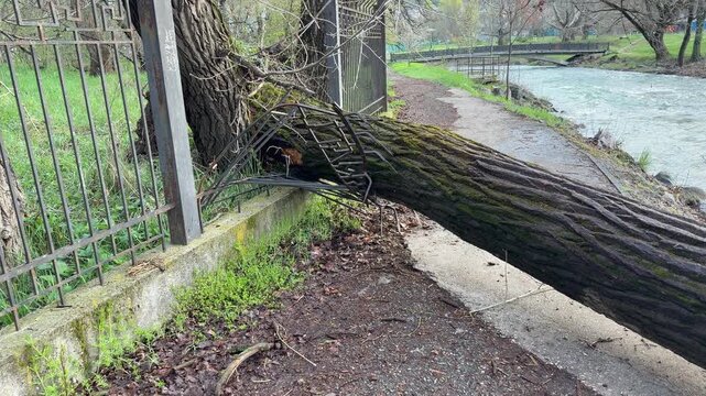A heavy tree trunk rests on a smashed metal fence across a paved walkway. The scene feels chaotic and somber. A rushing river flows nearby, reflecting the destructive power of nature.