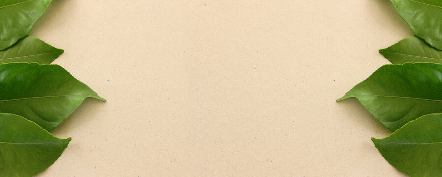 Close up image of green leaf detail on textured paper.