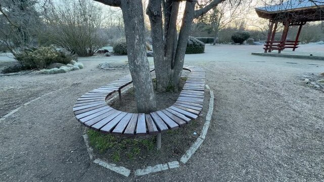 An oval wooden bench wraps neatly around twin tree trunks in a frosty clearing. This quiet scene inspires feelings of peaceful rest and cozy charm within the cold, sleeping garden.