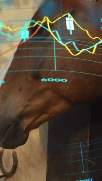 Vertical video: Stock overlay rising on tilt revealing brown horse eye, horseshoe left 4000-9000