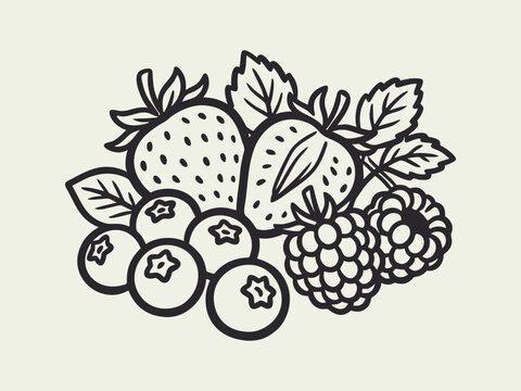 Mixed Berries Line Art Illustration