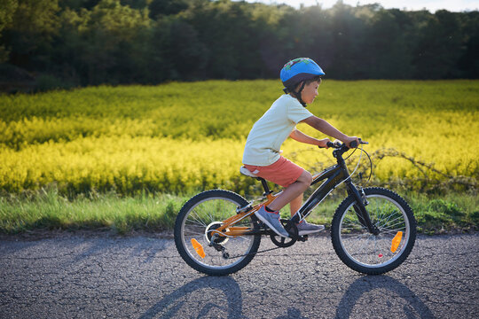 Boy riding a bicycle on a country road beside a yellow flowering field