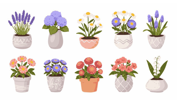 Cartoon style house plants collection in decorative flower pots with colorful indoor botanical arrangement isolated on white background