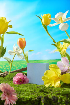Tall flowers on green grass with a light blue cylinder podium, airy vertical layout, natural lighting, central and upper copy space ideal for cosmetics, logo, or advertising text.