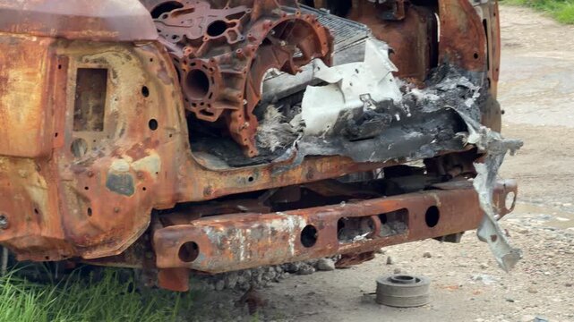 The charred remains of a vehicle sit stripped and decaying in the green grass. This sight evokes a haunting sense of loss and total destruction. It feels heavy with silence and neglect.