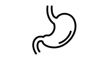 Obraz premium Anatomical illustration of the human stomach, a vital organ for digestion, presented as a clean and simple line drawing icon