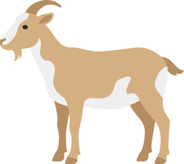 Fototapeta premium Vector illustration of a domestic goat standing on a white background, a common farm animal