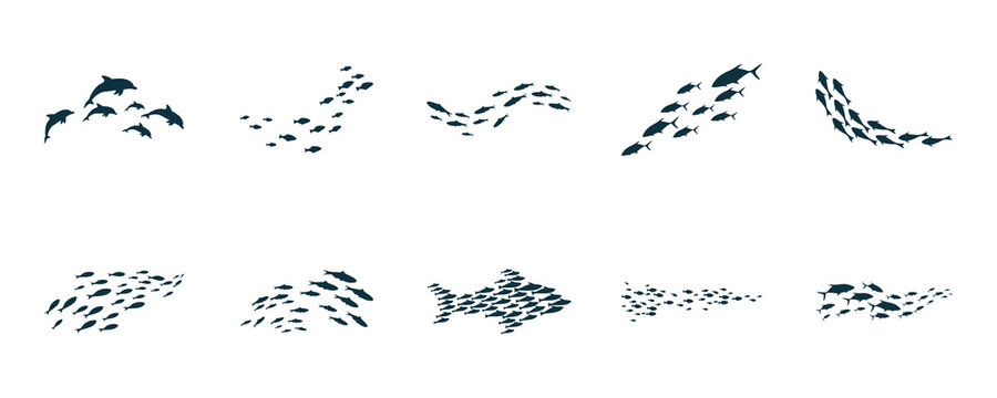 Fish School Silhouette Icon Set