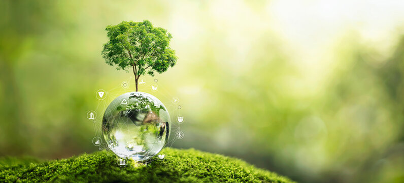 ESG icon concept in the hand for environmental, social, and governance in sustainable and ethical business on the Network connection on a green background.