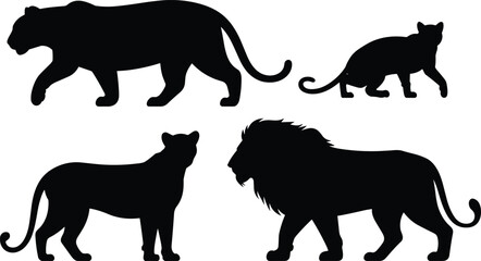 Black Silhouettes of Wild African Big Cats Including Lions Leopards and Panthers Perfect for Nature and Wildlife Design © MstRezoara
