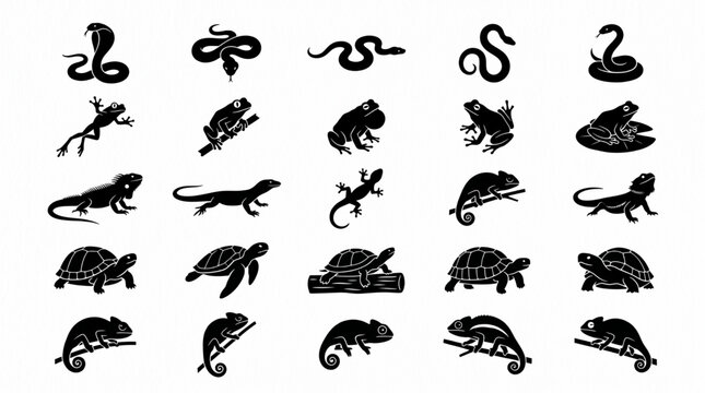 Comprehensive collection of reptile and amphibian silhouettes featuring snakes, cobras, frogs, toads, lizards, geckos, iguanas, turtles, tortoises, and chameleons isolated on white vector ar