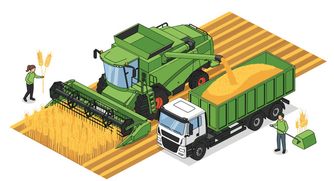 Large green combine harvester machine working in a wheat field and discharging grain into a nearby transport truck.
