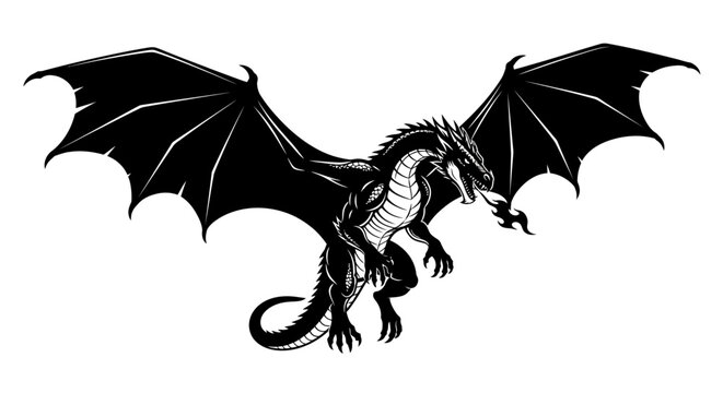 Black dragon with wings spread wide.