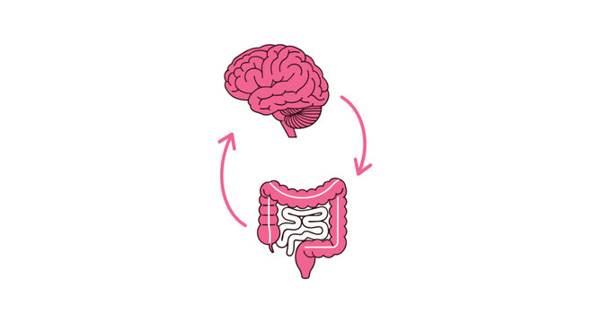 A stylized pink illustration shows a brain and intestines connected by circular arrows to represent the biological feedback loop between the two organs.