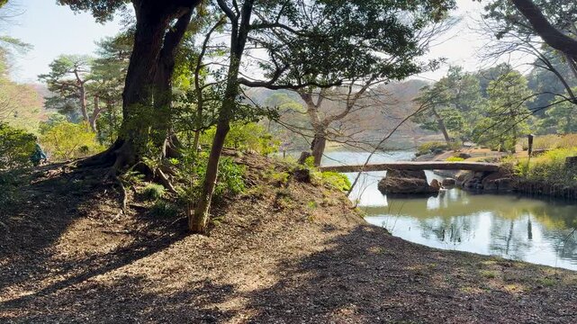 Stone Bridge Over Pond in Koishikawa Korakuen Garden Tokyo