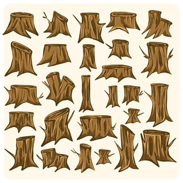 Various Old Tree Stumps and Wood Logs Collection