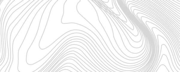 Topography background. Vector banner. Topography map background. Vector geographic contour map. Background of the topographic map. © kamilia
